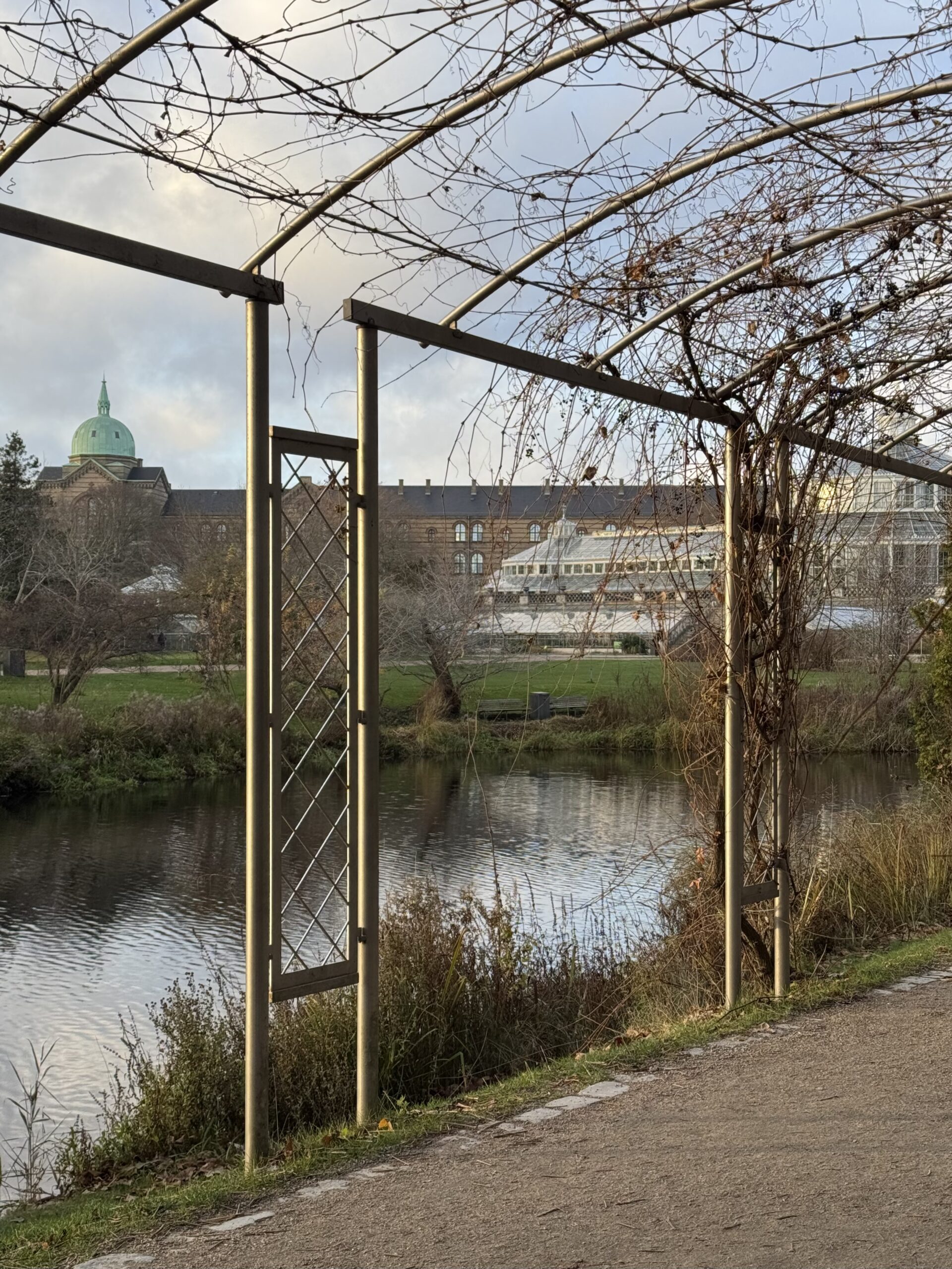 Kopenhag Botanik Bahçesi, yüzlerce bitki türü, tarihi seraları ve huzurlu atmosferiyle doğaseverlerin keşfetmesi gereken eşsiz bir yeşil alan.